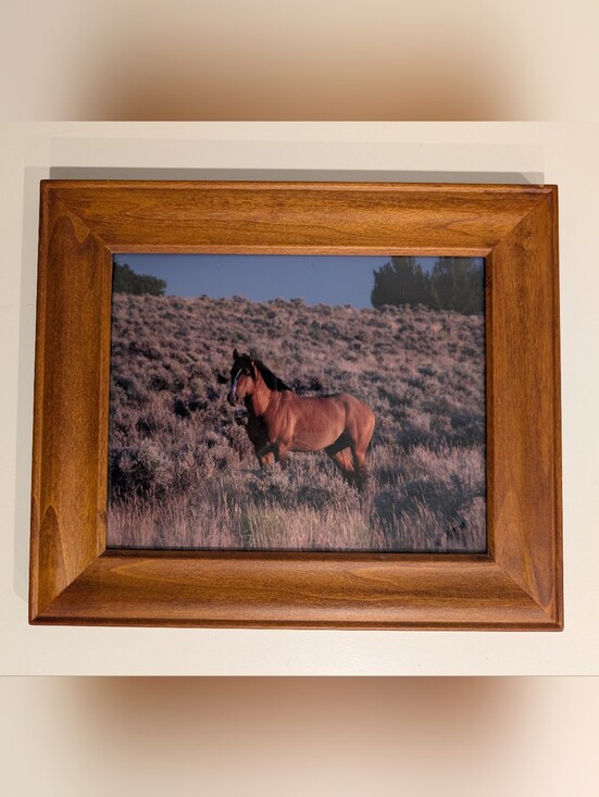 Other - Framed Wild Mustang Wall Art - Brown Horse Print